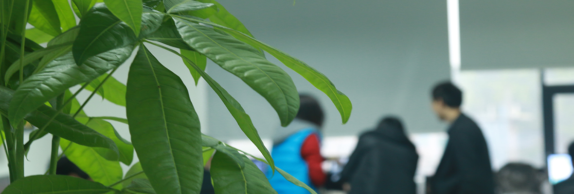 太浪网络公司实景图片